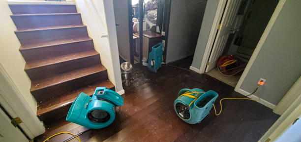 Best Professional water damage repair  in Bridgetown, MS