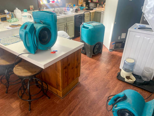 Best Fire Damage Restoration  in Bridgetown, MS
