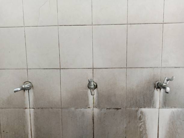 Best Water damage restoration process  in Bridgetown, MS