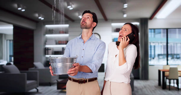 Best Flood damage cleanup  in Bridgetown, MS
