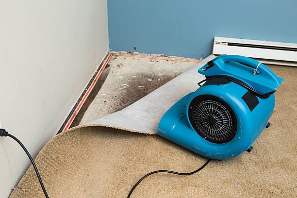 Water damage restoration process in MS